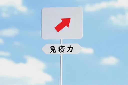 免疫力を上げるには・・・